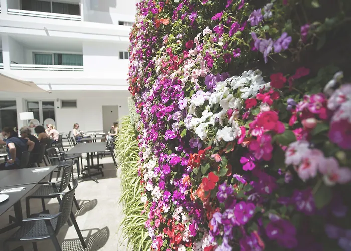 Akeah Broncemar Otel