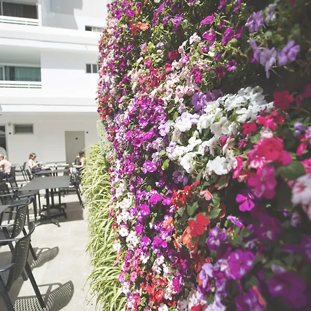 Akeah Broncemar Hotel